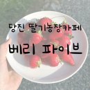 태광농장 | 당진 베리파이브 BERRY FIVE 카페 방문 후기!