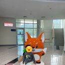 파란나무 유치원 | [영주 아이랑 갈만한 곳] 영주인삼박물관 체험존 후기