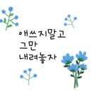 레인보우다육