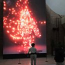 12/13(흙날) 대구 국립박물관에서2 이미지