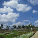 순천만국가정원(서문) 이미지