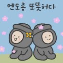 팜스펜션