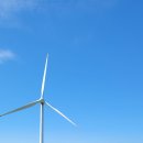 메밀목장 이미지