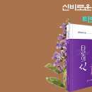 타로운세, 오늘 당신이 메이저 아르카나 5번 교황(The Hierophant) 카드를 만났을 때 이미지