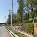 개화동로 이미지