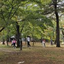 보물찾기 - 부천시 소사구 호현로 446 | 보물찾기