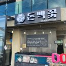 돈백꽃도두점