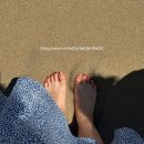 청사포로 27 | [부산 해운대] 해운대 블루라인파크 스카이캡슐 + 해변열차 패키지 탑승 후기