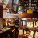 11650-17-197-29 | [서울 마포구/상수역] 독서모임하기 좋은 상수역 아늑한 책방 카페 :: 그림서재 후기