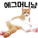 문소장공인중개사사무소 네이버블로그