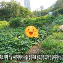 수경목장 이미지