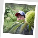 대기농촌체험마을 이미지