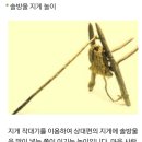 양떡음떡마을 이미지