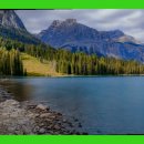 태평양식품 이미지