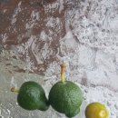 미성민박 이미지