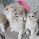 오예쁘다