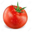 슈퍼푸드 토마토 이미지