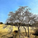 창주 이성길 묘 이미지