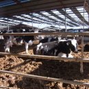 이상진농장 이미지