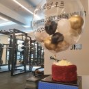 팀 보노 이미지