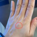 한림본정형외과의원 이미지