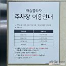 A+모닝프라자 | 잠실 중국집 맛집 &#39;차이 797&#39; 롯데백화점 잠실점 캐슬플라자