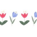 블루밍 스파앤풀빌라 이미지