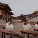 신바람비디오 이미지