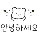 강릉 반려견 호텔 유치원 로젯펫살롱 세인트존스호텔점 이미지