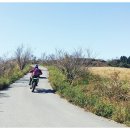 조은목장 이미지