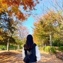 쌍봉산 근린공원 | 쌍봉산? 두 개라서 두 배로 힘든 줄 알았는데... 두 배로 웃겼던 등산 후기