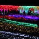 [경기도 포천시] 포천 허브아일랜드 불빛동화축제-산타요정 이미지