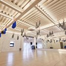 바디메이커 이미지