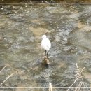 당현천산책로 이미지