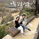 씨유 강화서문점 | 4월 애견동반 가볼만한 곳, 서울근교 강화여행, 전등사 개화상황