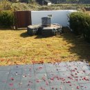 펫더가든 이미지