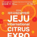 제주기업행사 / 2024 제주감귤 박람회 케이터링 후기