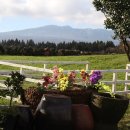 초록빛목장 이미지