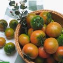 이부산농장 이미지