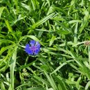 에코파랑새어린이집 이미지