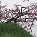 장덕2리 이미지