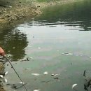 농암저수지 SBS