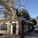 청풍황금송어 이미지