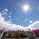 하늘메디칼 이미지