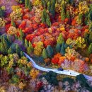 에이비알(ABR) | "보청기 지원금?" 나도 해당 되는지 알아볼까? 청각장애와 복지카드에 대해서