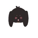 멍멍이 날다 이미지