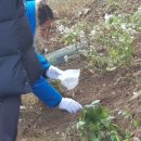 한별 리멤버파크 이미지