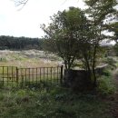 능성목장 | [제주 가을 여행] 노꼬메 오름, 제주 가을은 억새죠!!! #제주여행 #제주갈만한곳 #제주가을여행 #제주...