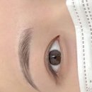 솔앤브로우