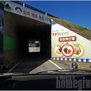 청운인삼